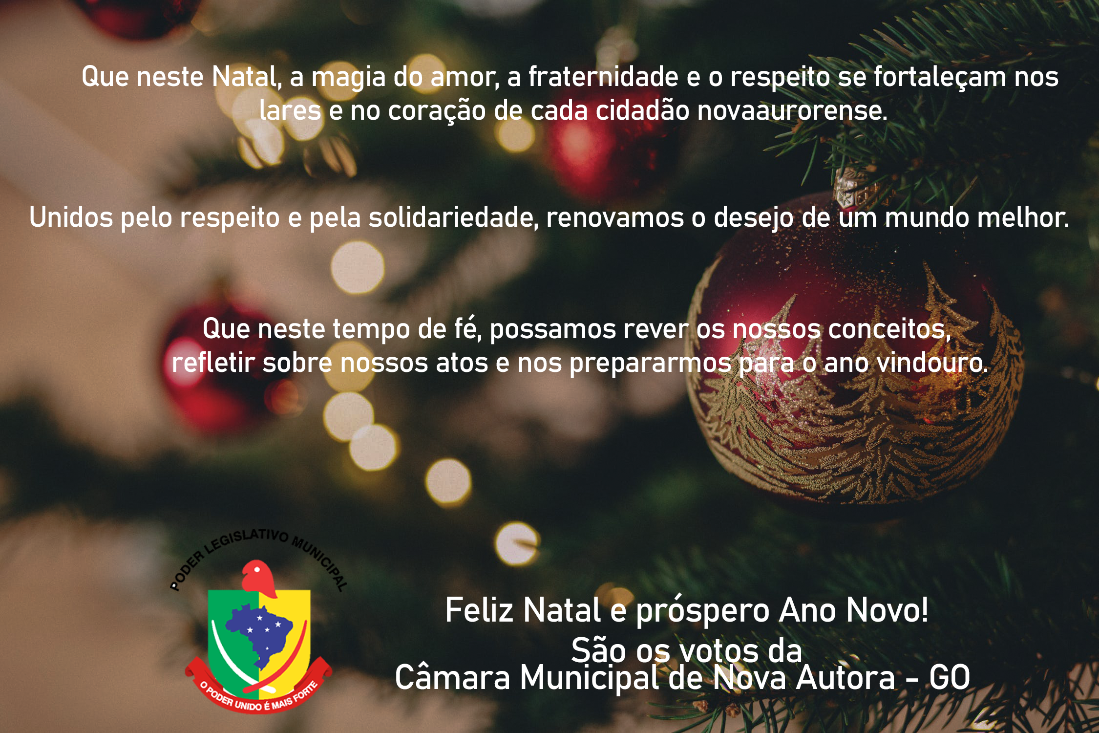 You are currently viewing Menssagem de Feliz Natal e Próspero Ano Novo!